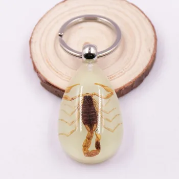

Hanging decorative ornaments Key Holder Handbag Wallet Pendant Creative Scorpion Keychain Scorpion Amber Pendant