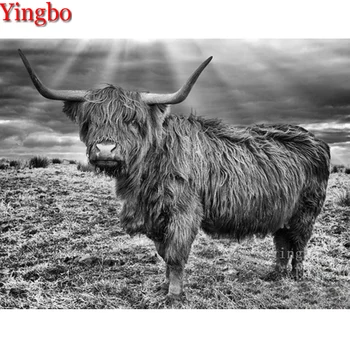 

Highland cattle animal black white 3D picture of rhinestones Diamond mosaic Diamond embroidery paint with diamonds painting sale