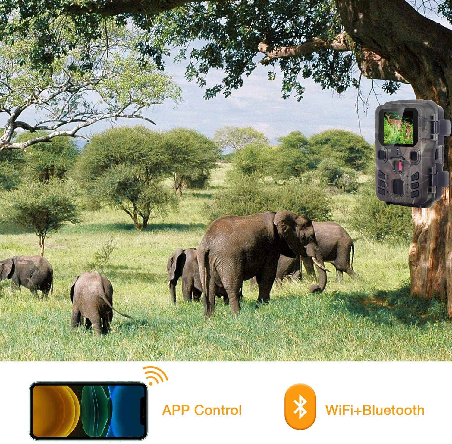 Live Show Wifi Bluetooth Trail Camera APP Control Wild Hunting Cameras WIFI301 24MP 1296P Night Vision Photo Traps Surveillance hunting trail camera trail camera