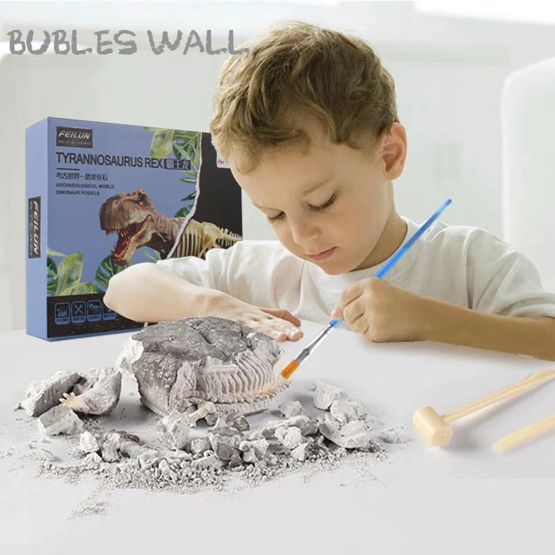 kids fossil kit