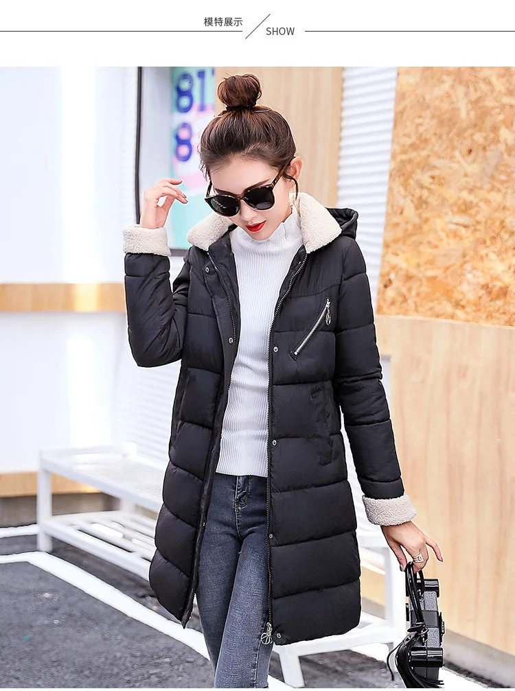 9097981879_1006637240