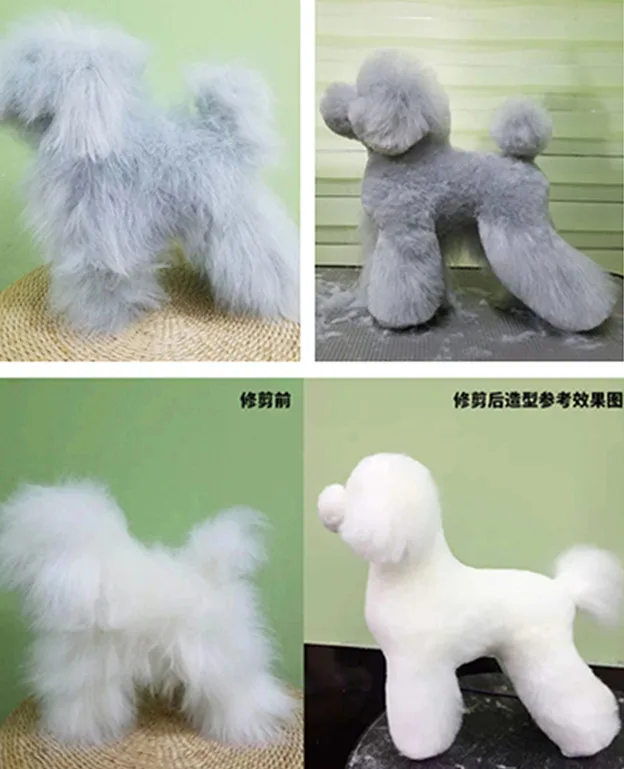 O1CN016VScWn1khVzOhfFSv_!!2024574715