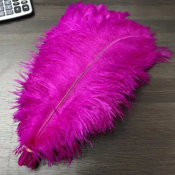 

Best Sellers 10pcs Gorgeous Rose 22-24inches/55-60cm Natural ostrich feathers DIY jewelry Christmas Halloween Decoration