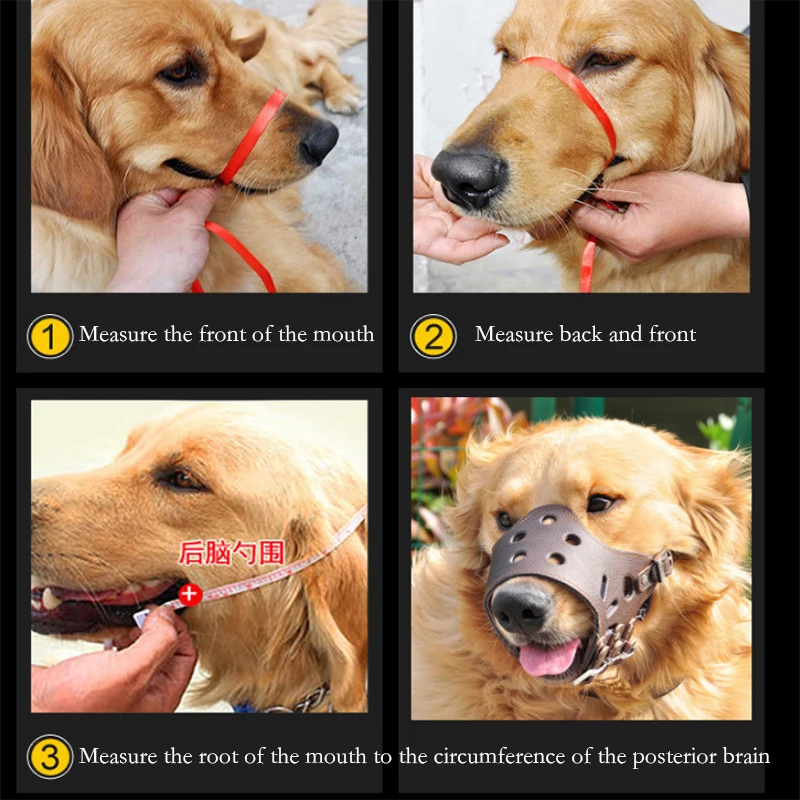 4f122a677d14f14c00e0991fe0c29dc