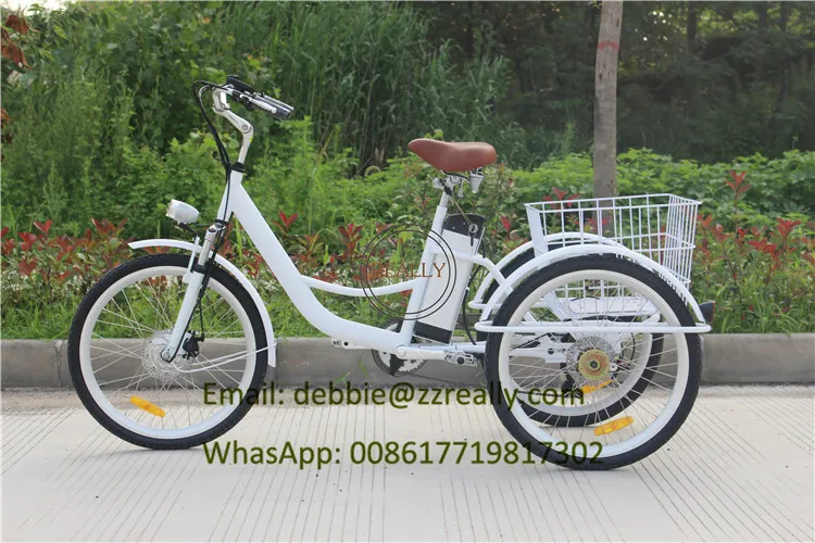 tricycle bike (3)