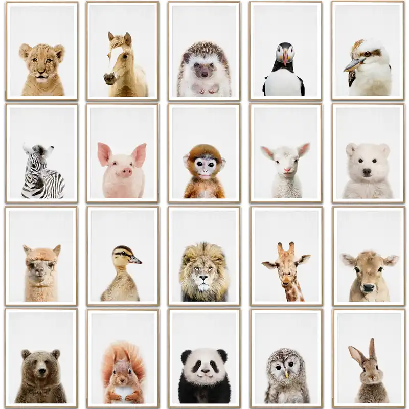 animal prints kids room