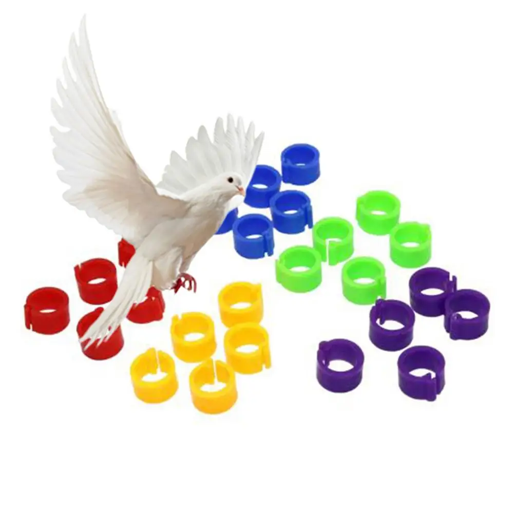 Pack Of 100 Pcs   ,Bird Rings Multicolor Colorfu Leg Bands For Pigeon Parrot Finch Canary Hatch Chicks Bantam Poultry Bayonet