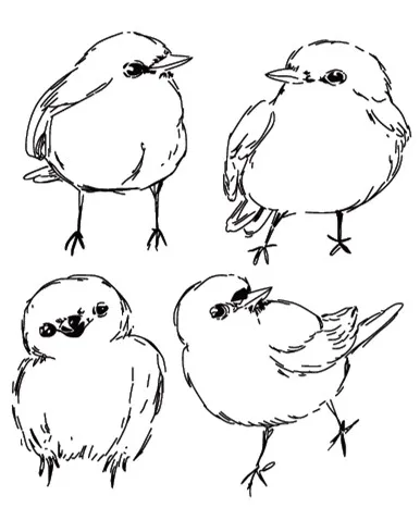 CLEAR STAMP bird sun DIY Scrapbook Card album paper craft silicon rubber roller transparent stamps 888