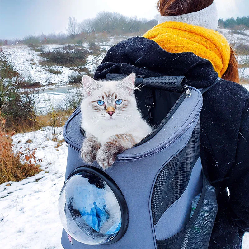 The Fat Cat Cat Backpack - for Larger Cats