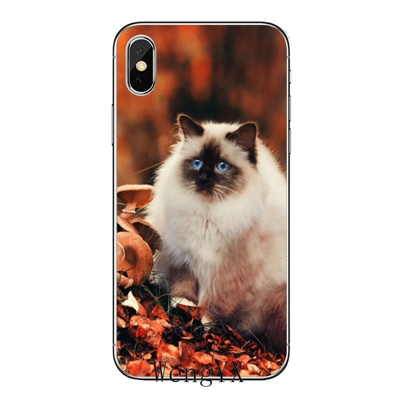 Pet ragdoll кошка синие глаза для huawei mate 20 10 9 P30 P20 P10 P9 pro Lite P Smart plus аксессуары чехол для телефона - Цвет: cat-blue-eyes-B-09