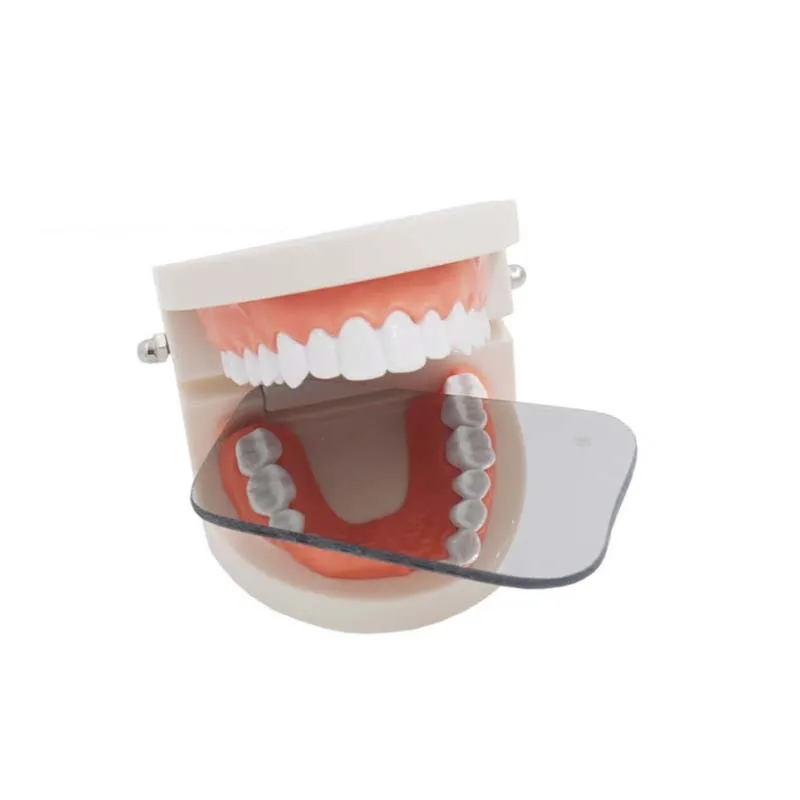 TB1N4ZjRVXXXXa4XFXXYXGcGpXX_M2.SS2_800x800