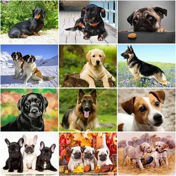 

DIY Dog 5D Diamond Painting Cross Stitch Animal Diamond Embroidery Kit Mosaic Full Round Drill Rhinestone Home Decor
