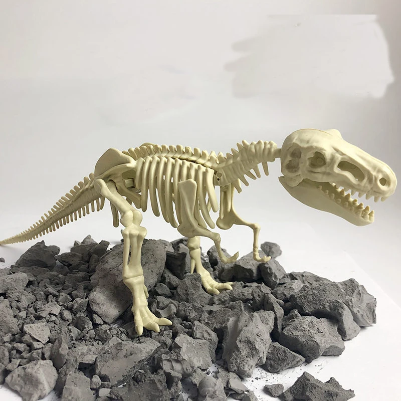 Excavation simulation archaeological dinosaur fossils DIY Tyrannosaurus skeleton hand-assembled model children's toys