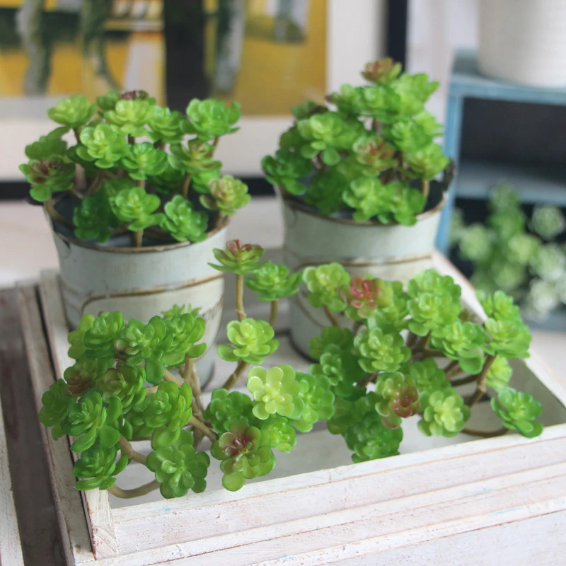 Искусственное растение искусственный мини суккулент микро пейзаж 24 головки ПВХ домашний сад бонсай Декор