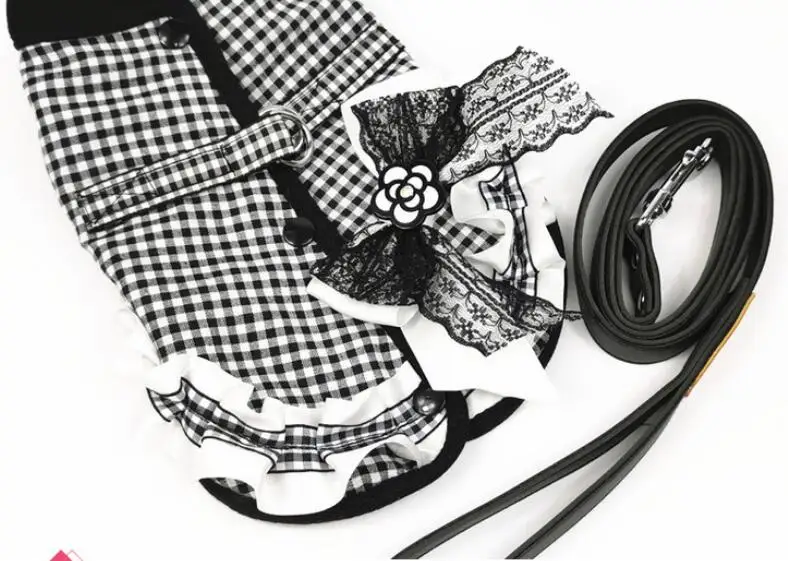 QQ截图20190912102121