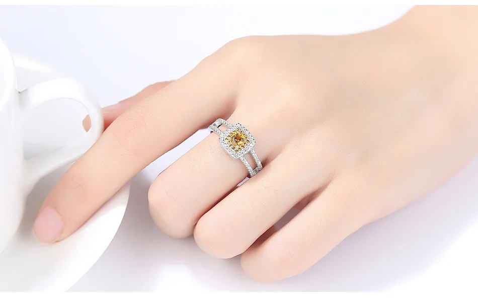 9088556390_1644834497