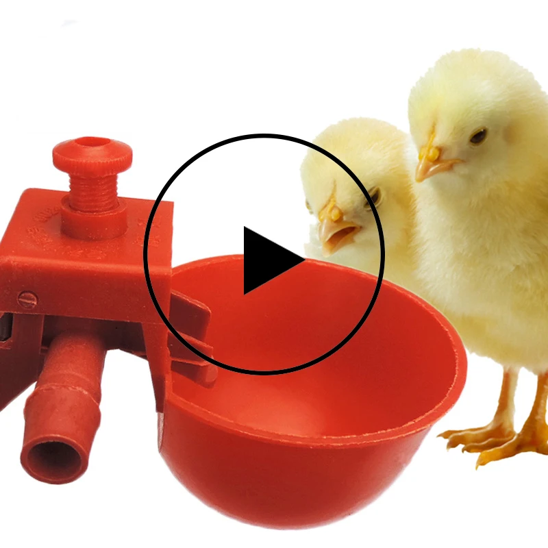 30 PCS Chicken Waterer Hens Quail Birds Drinking Bowls Water For Chicken Coop Chick Nipple Drinkers Poultry Farm Animal Supplies
