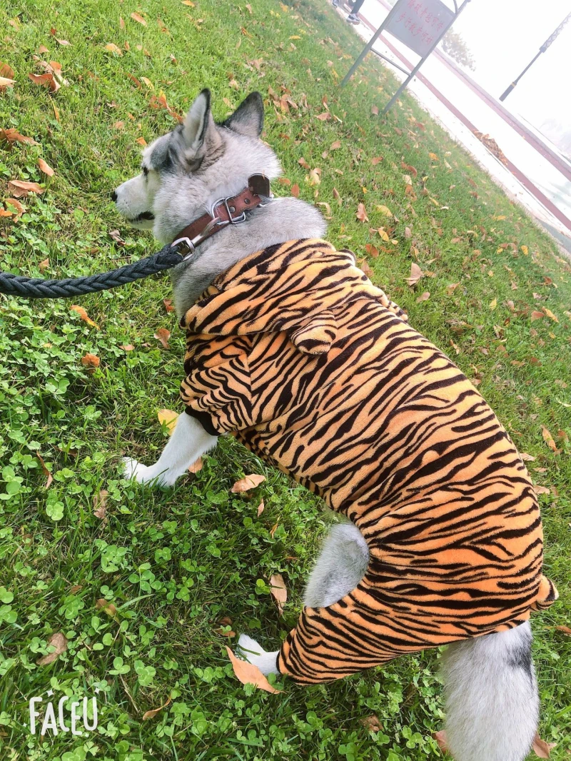 Big Dog Clothes Winter Large Dog Outfit Tiger Cosplay Funny Dog Costume Shiba Inu Samoyed Husky Golden Retriever Pet Apparel 9XL