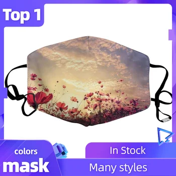

7 Styles Adult Unisex Face Mask With 2 PCS Filters Dust Proof ultraviolet Printed Washable and Reusable Mouth Cover Mascherina
