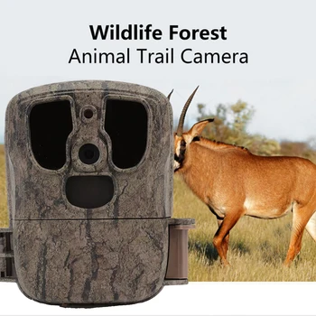 

Hunting Cameras 20MP Hunting Trail Camera 1080P Wildlife Scouting Night Waterproof Hunting Entertainment