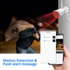 Video Surveillance