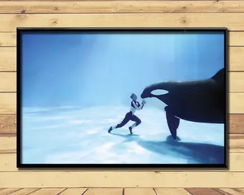 

Orca Ferocious Marine Animal (23) Wall Posters Prints Silk Art Painting For Home Wall Bedroom Decor