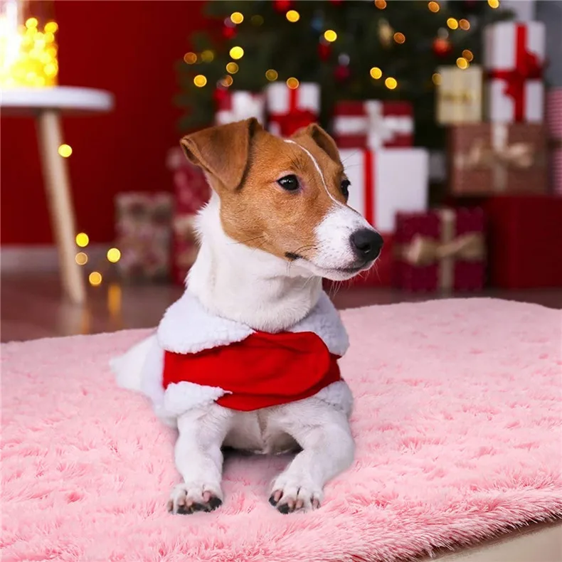 71krCdS-jrL._AC_SL1500_