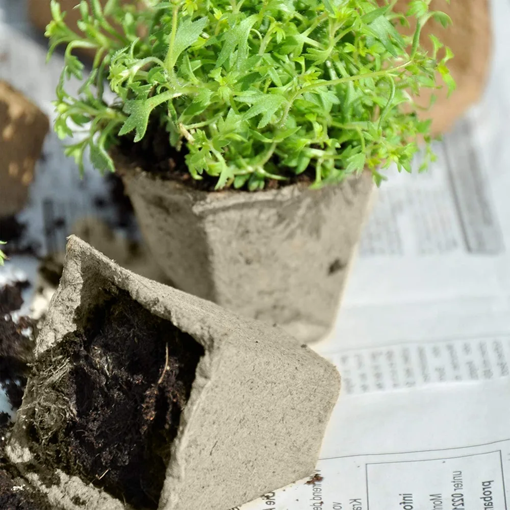 8634e0e1ec0803eeecea6e2a39ca0091