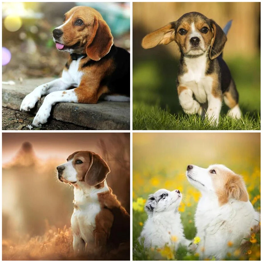 Paint-With-Diamond-Painting-by-Number-Cute-Dog-Cross-Stitch-DIY-Hobby-Beagle-Pattern-Mosaic-Full