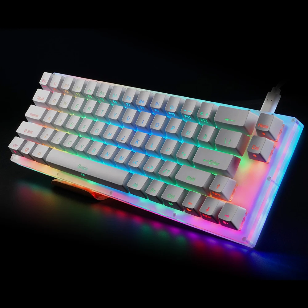 Basaltech 60 Mechanical Gaming Keyboard with True RGB LED Backlit 66