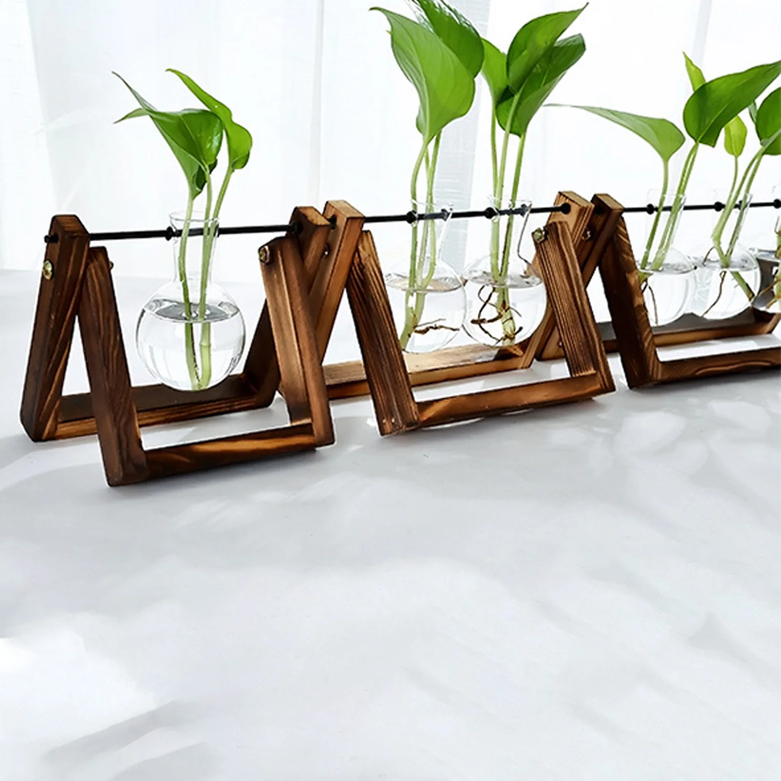 Plante avec support en bois, pot de fleurs en verre, support