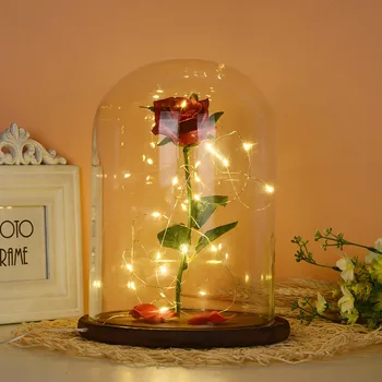 

Home Decoration Accessories Modern Creative Romantic Immortal Flower Micro Landscape Rose Simulation Glass Shade Led Llight W122