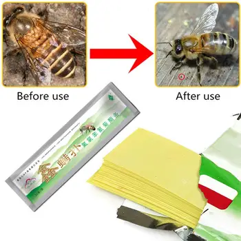 

Professional Bee Acaricide Against The Bee Mite Strip Beekeeping Medicine Bee Varroa Mite Killer & Control Beekeeping Medicines