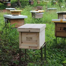 Готовая коробка для пчеловодства полный набор сосновых пчеловодных ульей в коробке для улья