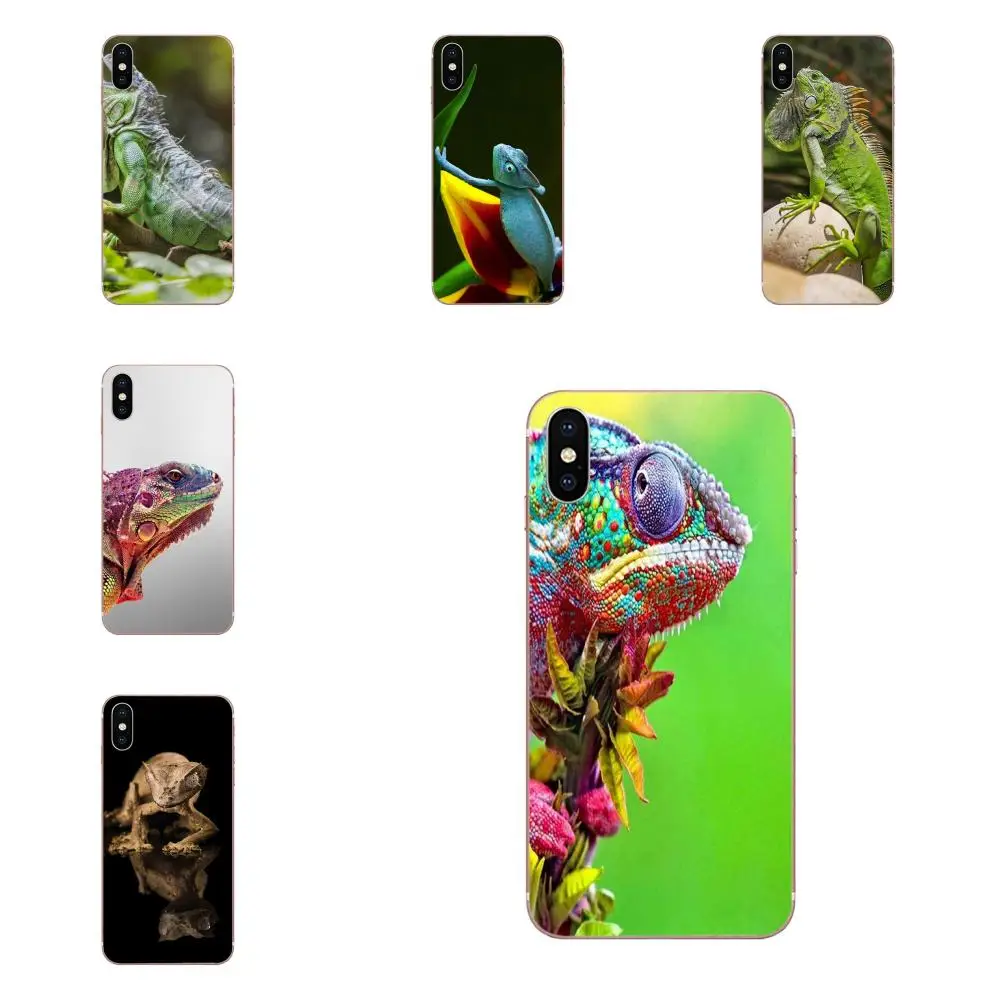 Animal Iguana Chameleon Lizard TPU Cell Case For Xiaomi CC9 CC9E Mi 3 4 4i 5 5S 6 6X 8 9 SE Play Plus Pro Lite A1 Mix 2 Note | Мобильные