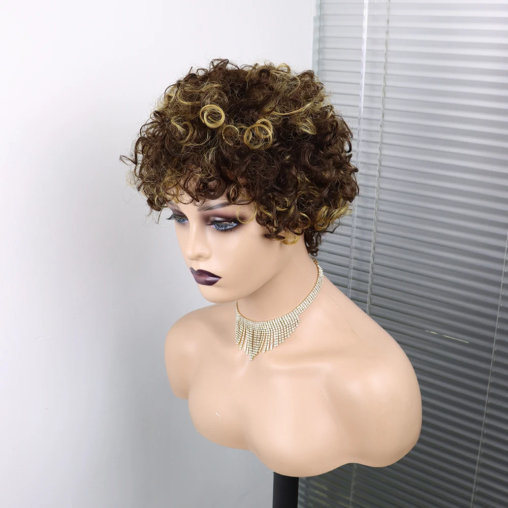 Afro Curly Short Wigs 100% Human Hair Curly Wig With Bangs Pixie Cut African Fluffy Curly Wigs For Black Women 100% Human Hair