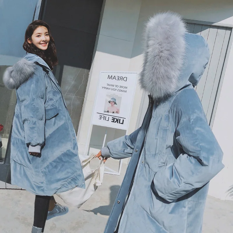 

Photo Shoot Gentle Wind Haze Blue Velvet Padded Large Fur Collar down Coat Cotton Overcoat Women's Winter