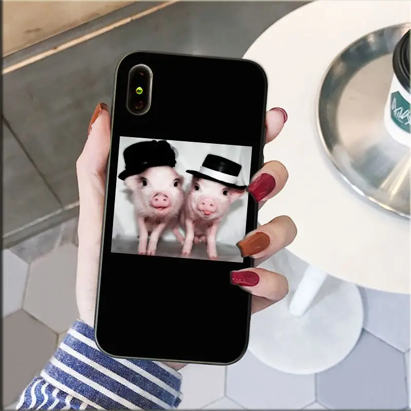 Cute Little Pink Pet Pig