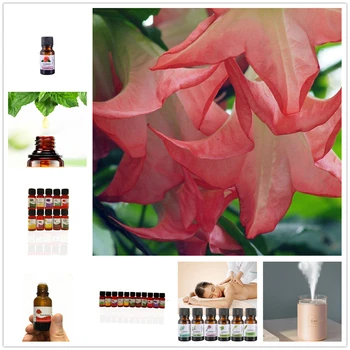 

Wholesale Longevity flower Essential Oils for Aromatherapy Diffusers Chinese rose Relaxing Spa Massage Essential Oil