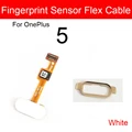 5 With frame White