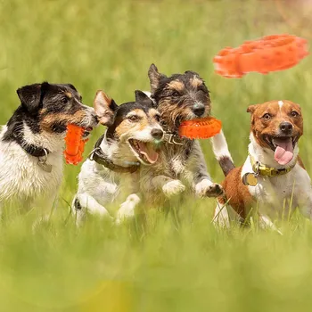 

Strong Rubber Chew Toy For Dogs Teeth Cleaning Nontoxic Indestructible Puppy Toys For Small Medium Large Dogs Pet Play