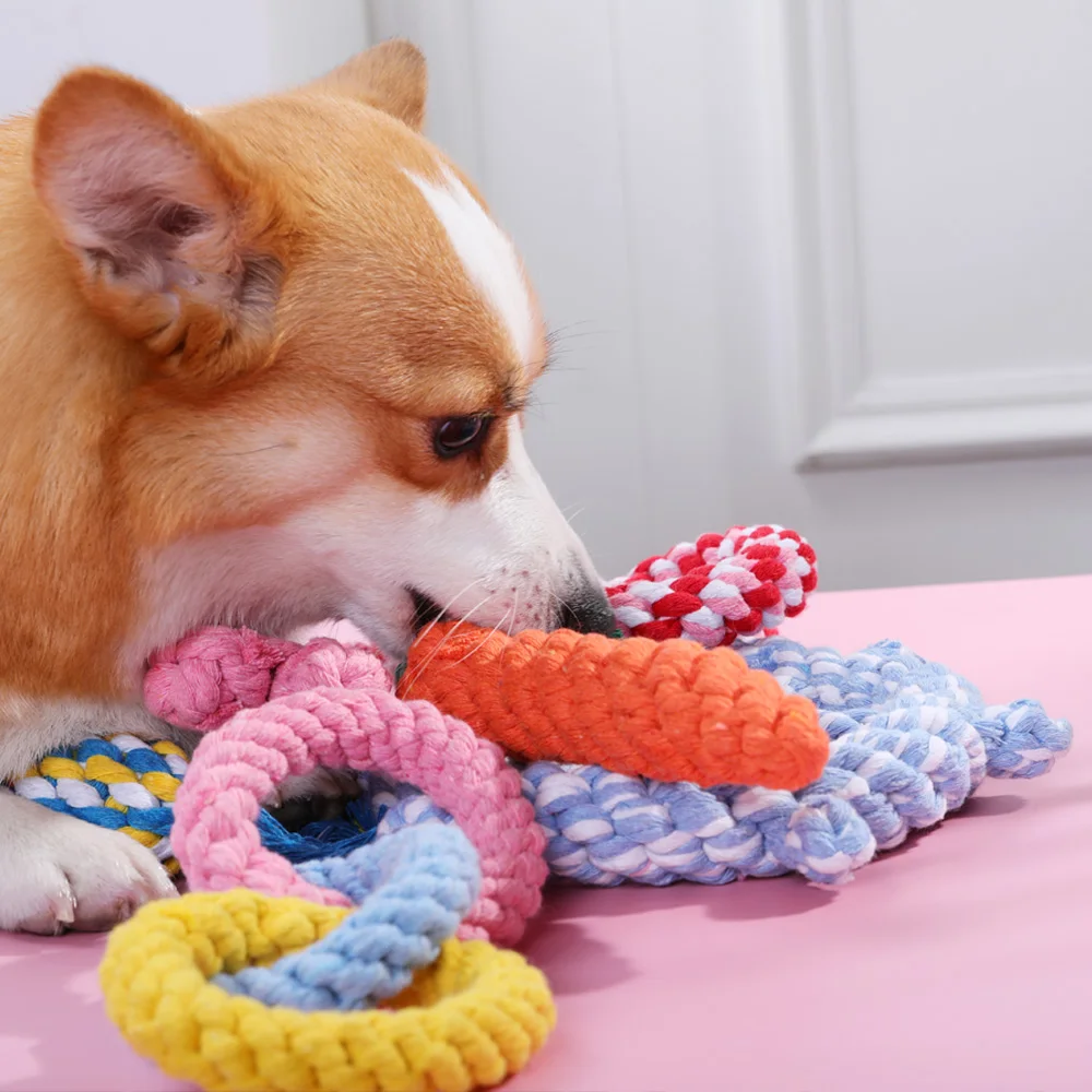HOOPET Pets Dogs Pet Chewing Toys for Dog Outdoor Teeth Clean Pet Dog Puppy Cotton Chew Knot Braided Bone Rope Funny Tool 2