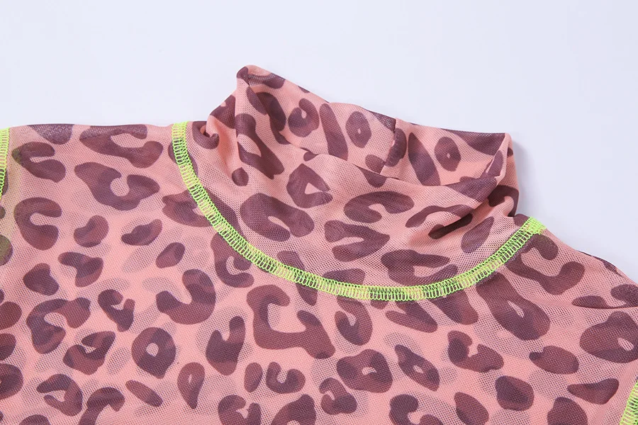 11617574812_1453572700