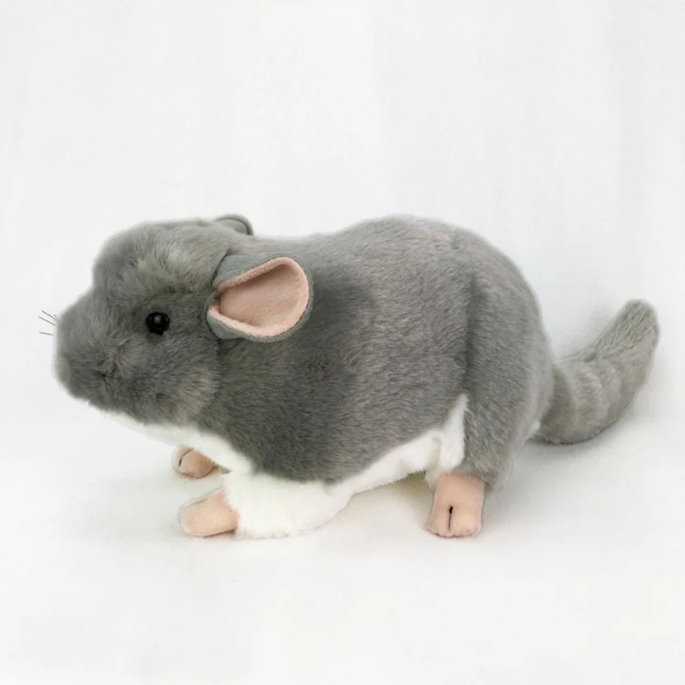 Realistic Chinchilla Mouse Animal Plush Stuffed Doll Kids Toy Home Desktop Decor Stuffed Plush Animals Gift 1 Realistic Chinchilla Mouse Animal Plush Stuffed Doll Kids Toy Home Desktop Decor Stuffed Plush Animals Gift 4