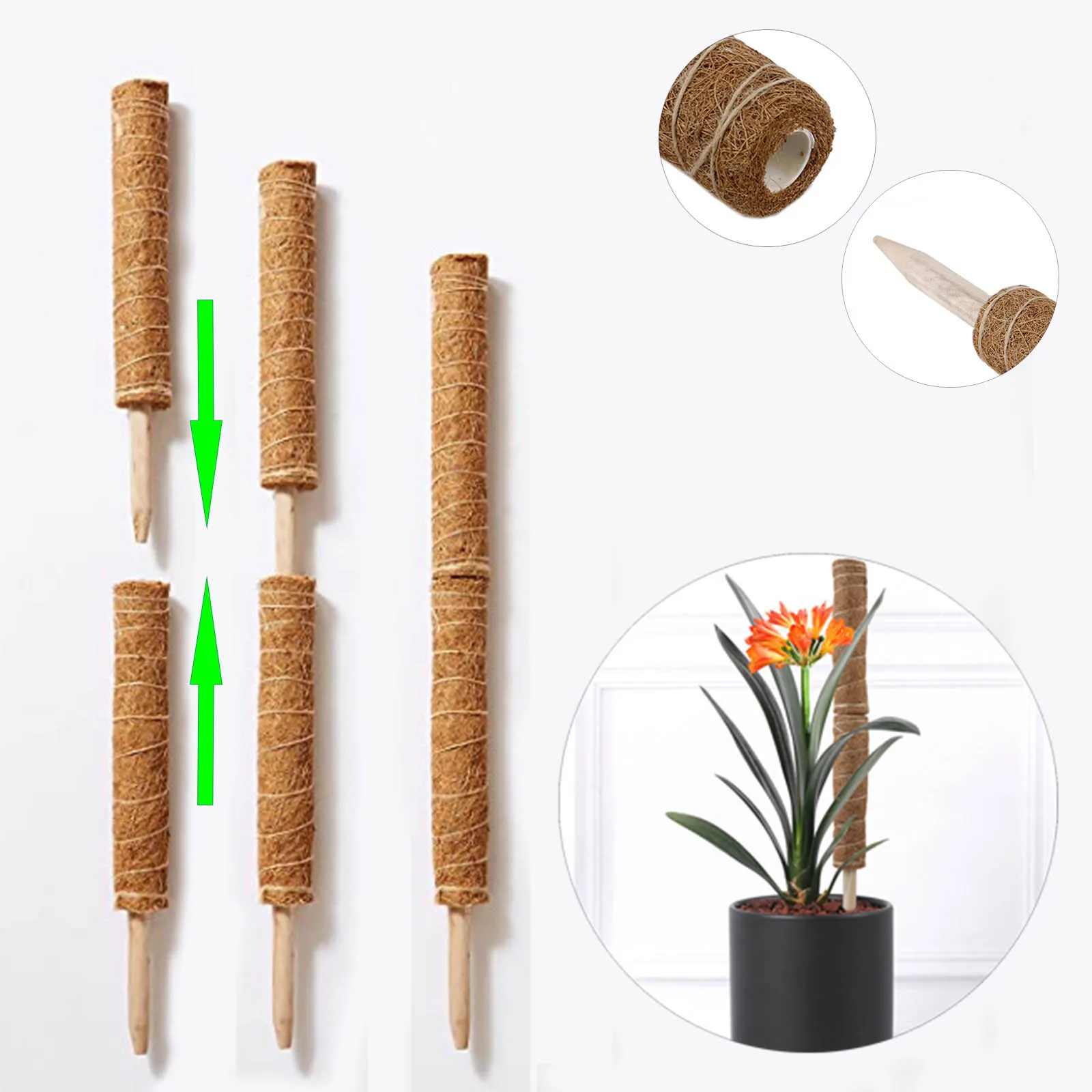 

3PCS Coir Totem Pole Coir Moss Totem Pole for Plant Support Extension Climbing Indoor Plants Pers 30cm/ 40cm/ 50cm