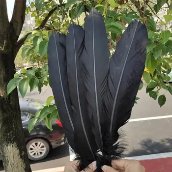 

Wholesale 50pcs Beautiful Black Natural Pheasant Feathers 14-16 inches/35-40 cm For Various holiday decoration accessories