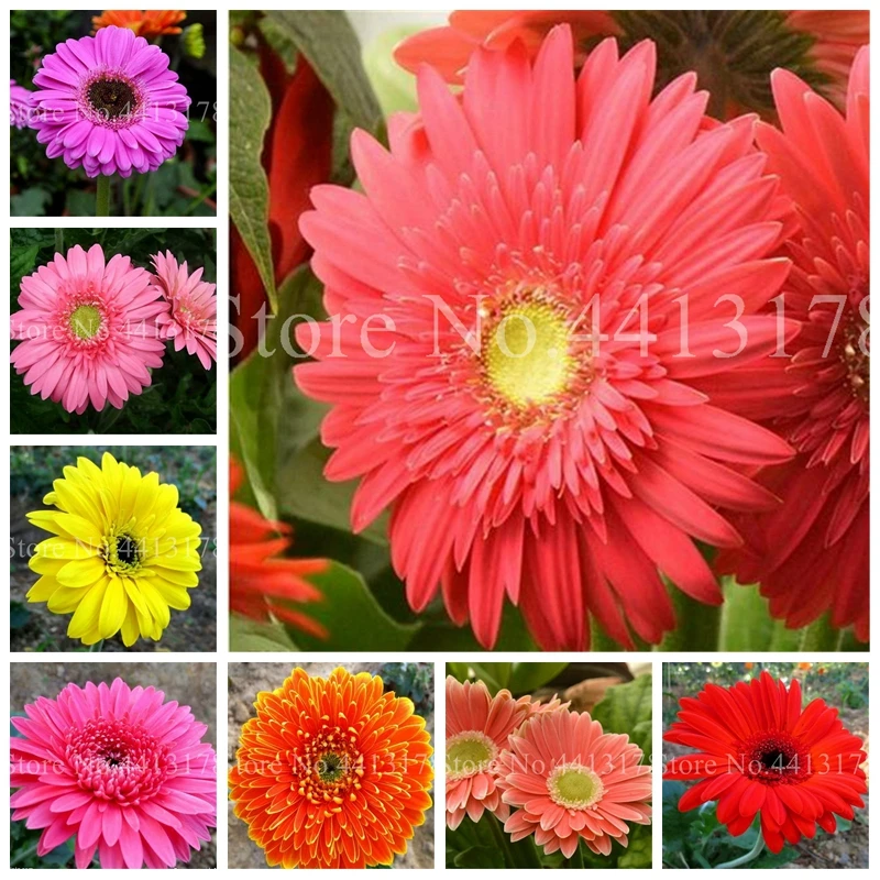 Artificial simulation Gerbera Daisy Chrysanthemum Flower Decoration 100 | Дом и сад