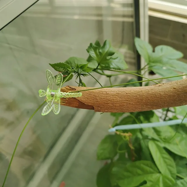 10 db Műanyag Szőlőjavító Klip Színes Kreatív Szitakötő Pillangó Alakú Növényi Oltó Rattan Rögzítő Kerti Kellékek - Image 3