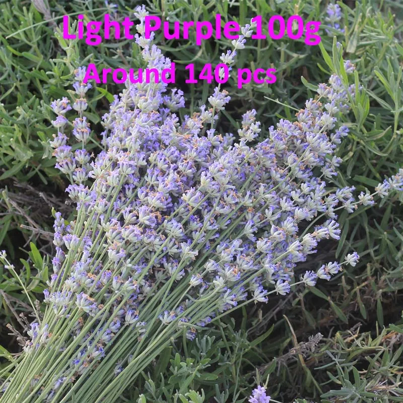 Zhipai Flores Secas Lavanda Natural, Ramitas Lavanda Seca, Tallos