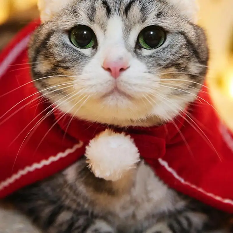 Рождественский костюм для питомцев кошек собак Одежда для щенков и собак Зимний шарф шапка накидка повязка на голову комплект одежда для рождественской вечеринки товары для домашних животных